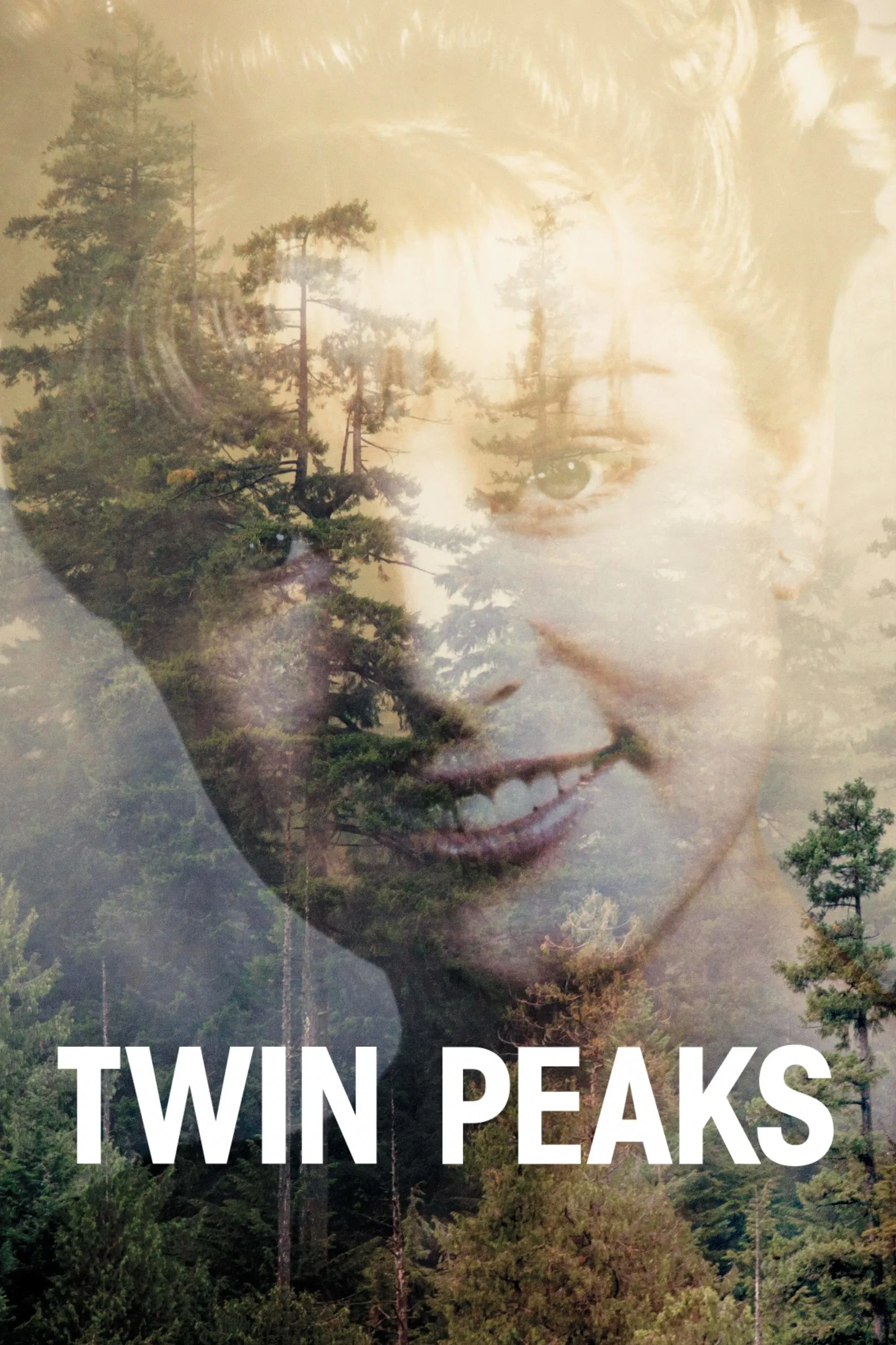 Twin Peaks cover